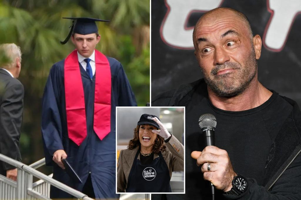 Barron Trump Is 'Smarter' Than Kamala Harris' Campaign To Tell Don To Move On With Joe Rogan: Former DEM Donor